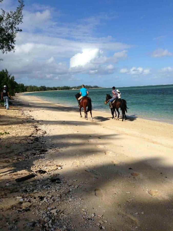 Mauritius: Horse riding on the deserted beach of Riambel - The first steps are designed for beginners