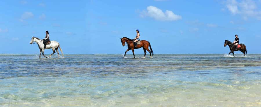 Mauritius: Horse riding on the deserted beach of Riambel - Riding into the ocean is the memorable extra