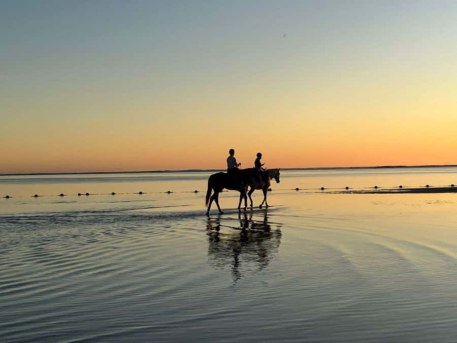 Mauritius: Horseback riding on the beach - Belle Mare beach, viewed from the saddle