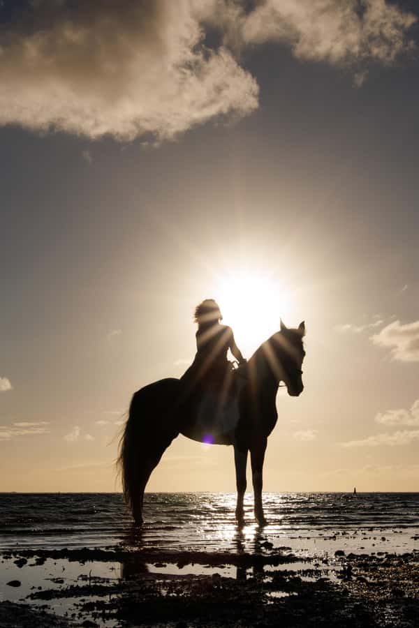 Mauritius: Horseback riding on the beach - The one-hour shoreline ride