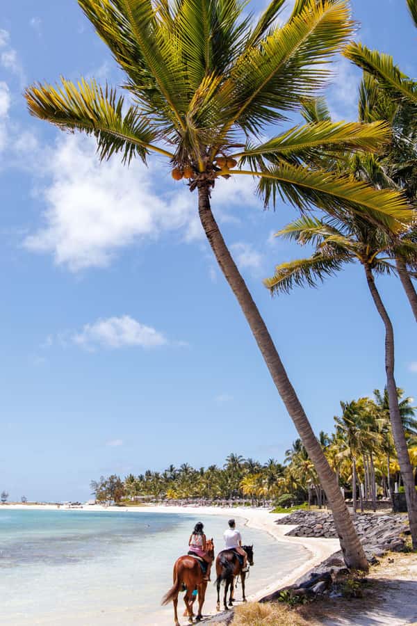 Mauritius: Horseback riding on the beach - Guides, languages, and photo options