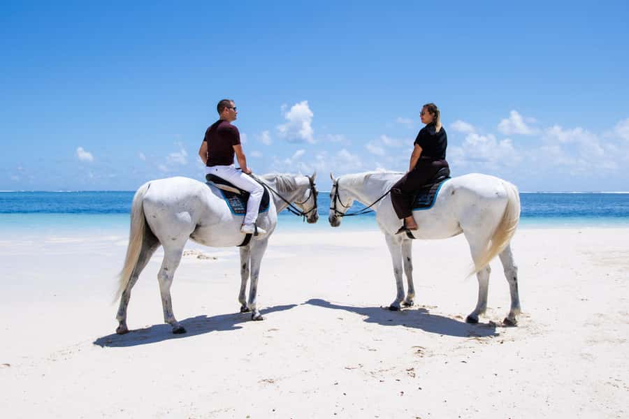 Mauritius: Horseback riding on the beach - Timing, group size, and cancellation