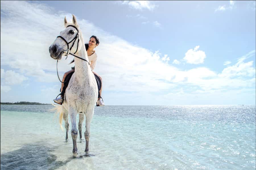 Mauritius: Horseback riding on the beach - Starting at the Legasea animal sanctuary