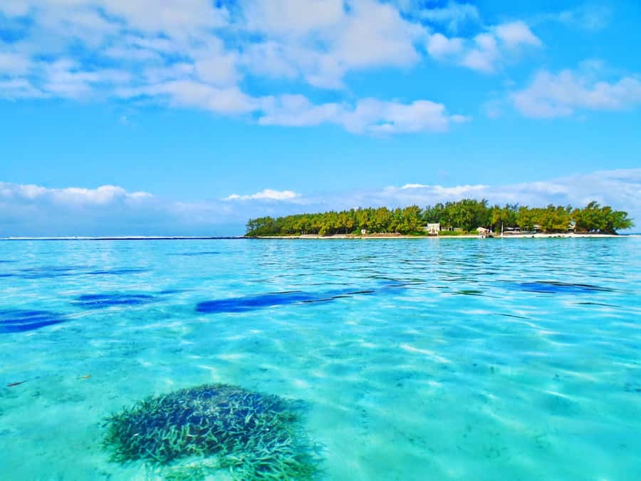 Mauritius: Ile aux Aigrettes Nature Reserve with Boat Ride - Blue Bay gives you a beach pause