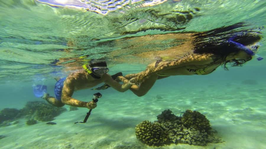 Mauritius: Ile aux Cerf Catamaran w/Waterfall Visit & Lunch - From Trou d’Eau Douce to the open lagoon