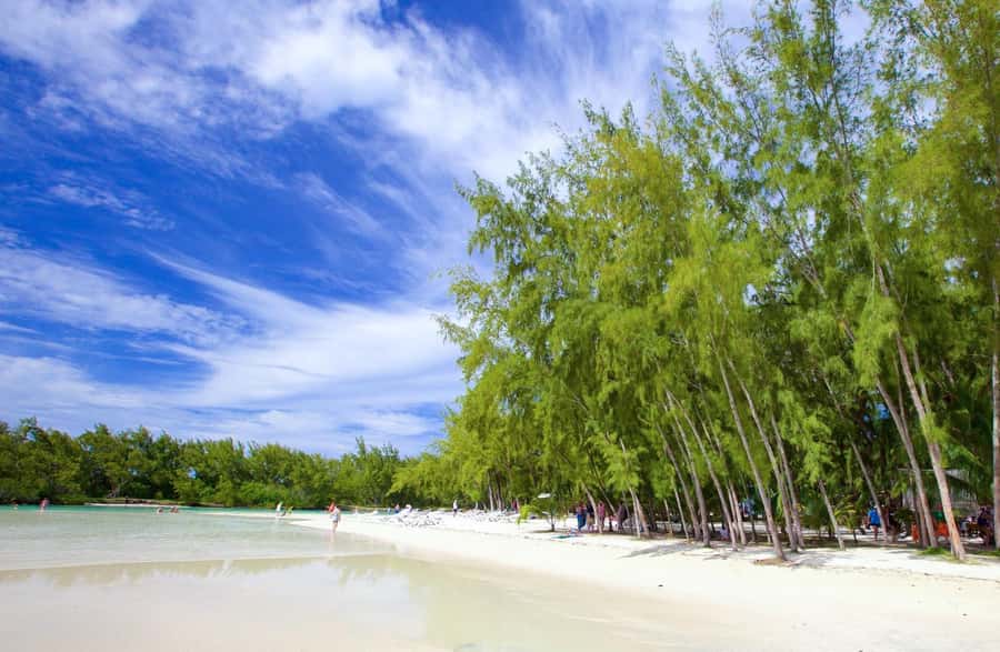 Mauritius: Ile aux Cerfs Boat Tour with BBQ Lunch and Drinks - A fast start from Trou D’eau Douce