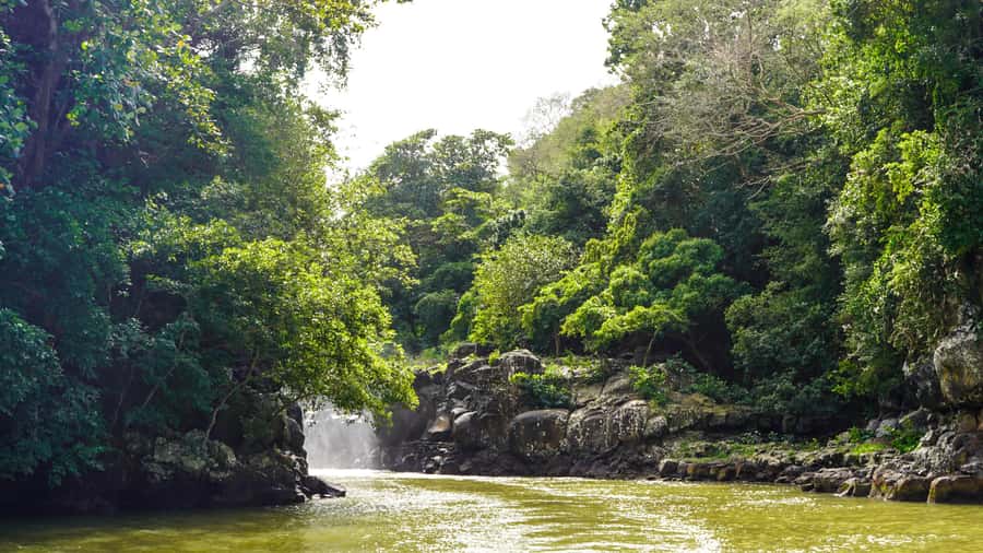 Mauritius: Ile aux Cerfs Boat Tour with BBQ Lunch and Drinks - What the $56 price really covers
