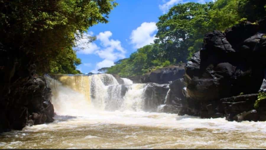 Mauritius: Ile Aux Cerfs catamaran cruise Lunch with BBQ - From Trou D’Eau Douce to open water