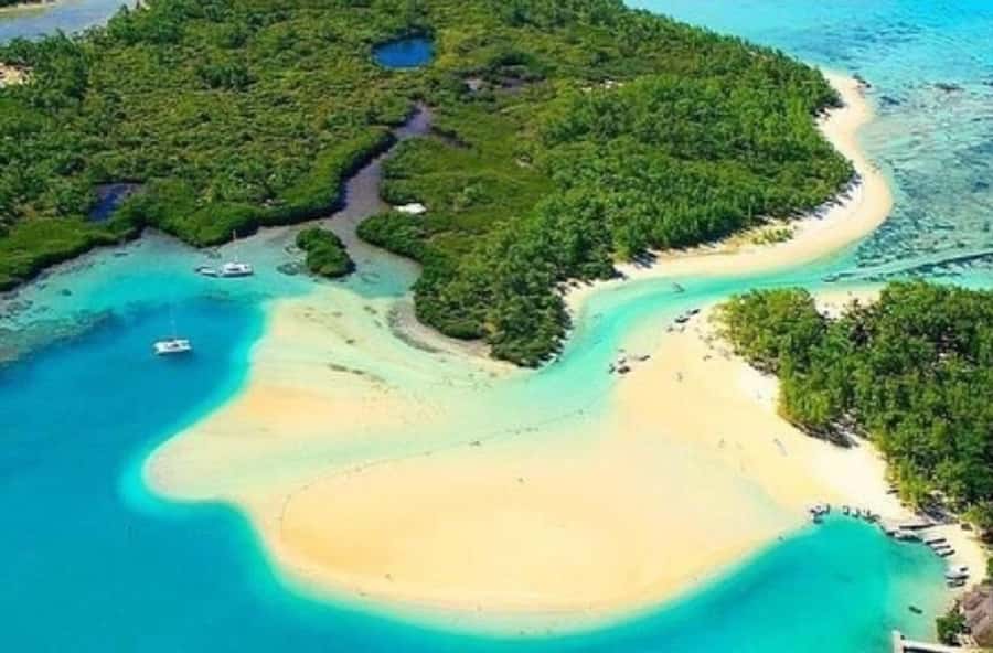 Mauritius: Ile Aux Cerfs Catamaran Cruise with Lunch - Swimming and snorkeling around Ile aux Cerfs