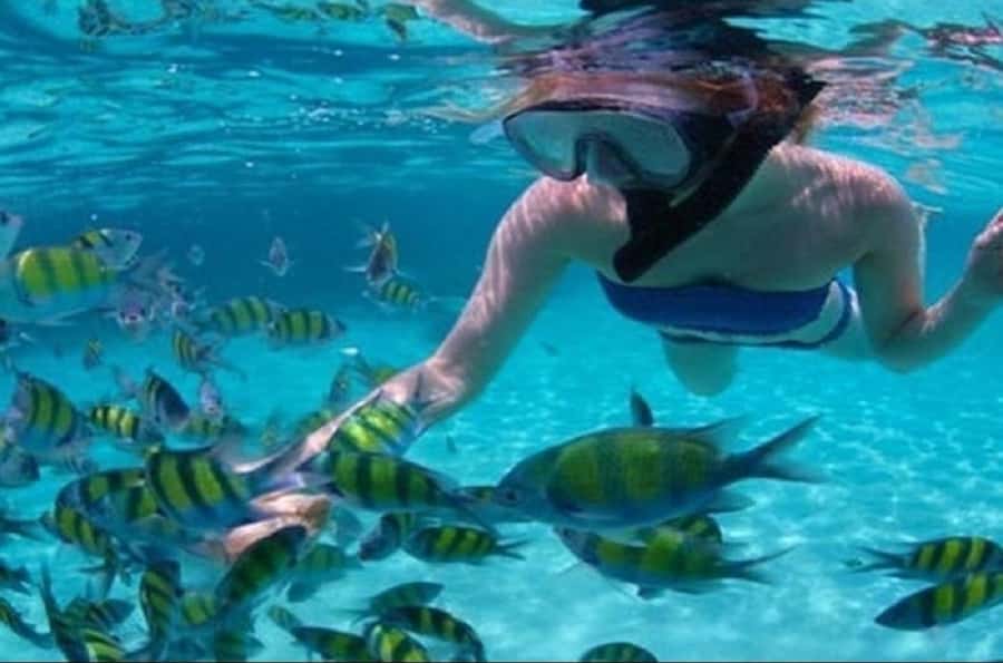 Mauritius: Ile Aux Cerfs Catamaran Cruise with Lunch - What the seven-hour schedule really means
