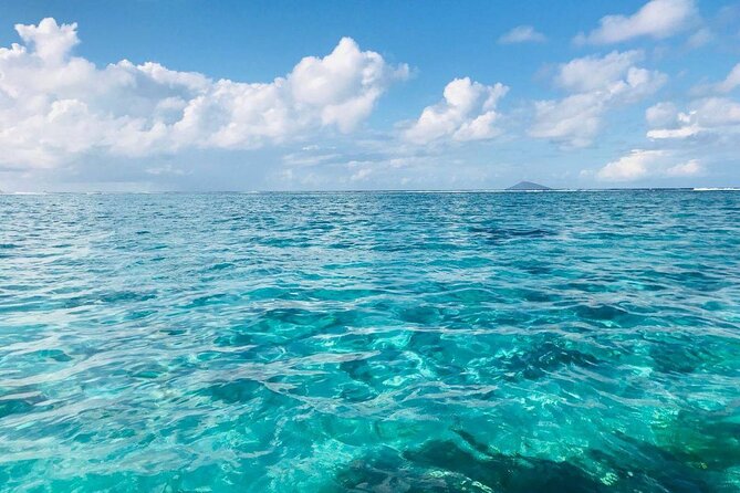 Mauritius: Ile Aux Cerfs Catamaran Tour with Lunch and Drinks - A Full Day From Trou d’Eau Douce
