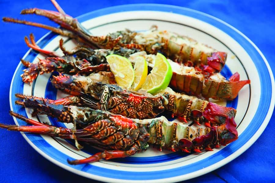 Mauritius: Ile Aux Cerfs Catamaran Trip w/ Lunch & Transfer - Key Points at a Glance
