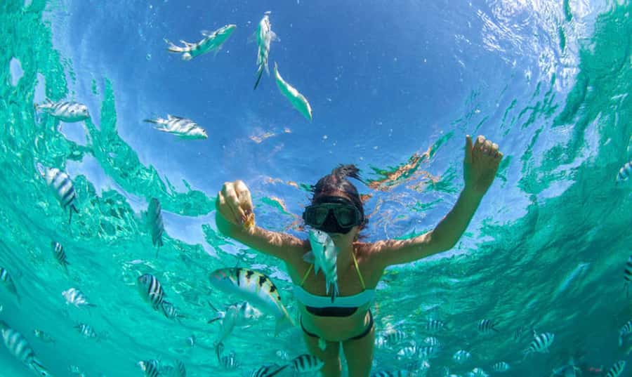 Mauritius: Ile Aux Cerfs Catamaran Trip w/ Lunch & Transfer - A Generous Three-Course Lunch on Board