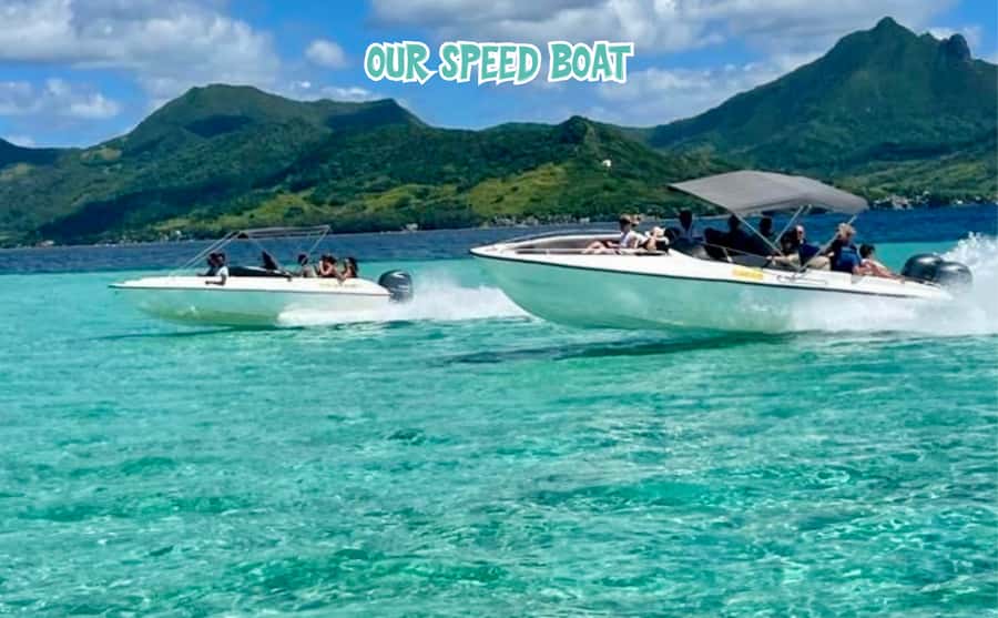 Mauritius: Ile aux Cerfs Speedboat Tour with Lunch & Drinks - Why this east-coast trip works