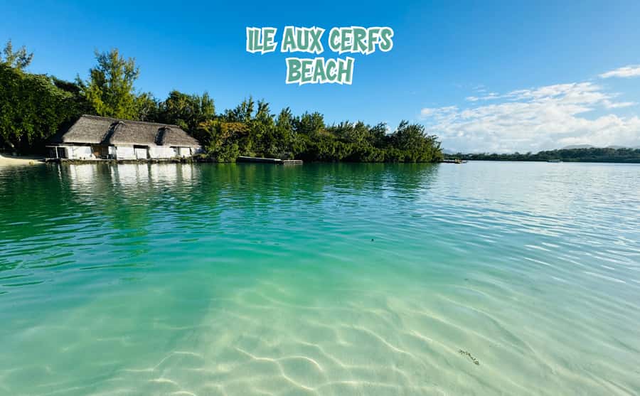 Mauritius: Ile aux Cerfs Speedboat Tour with Lunch & Drinks - Who will enjoy this trip most
