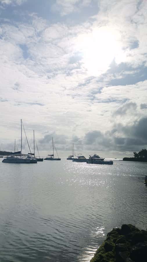 Mauritius: Ile aux cerfs, waterfalls and bbq Boat Day - Key points at a glance