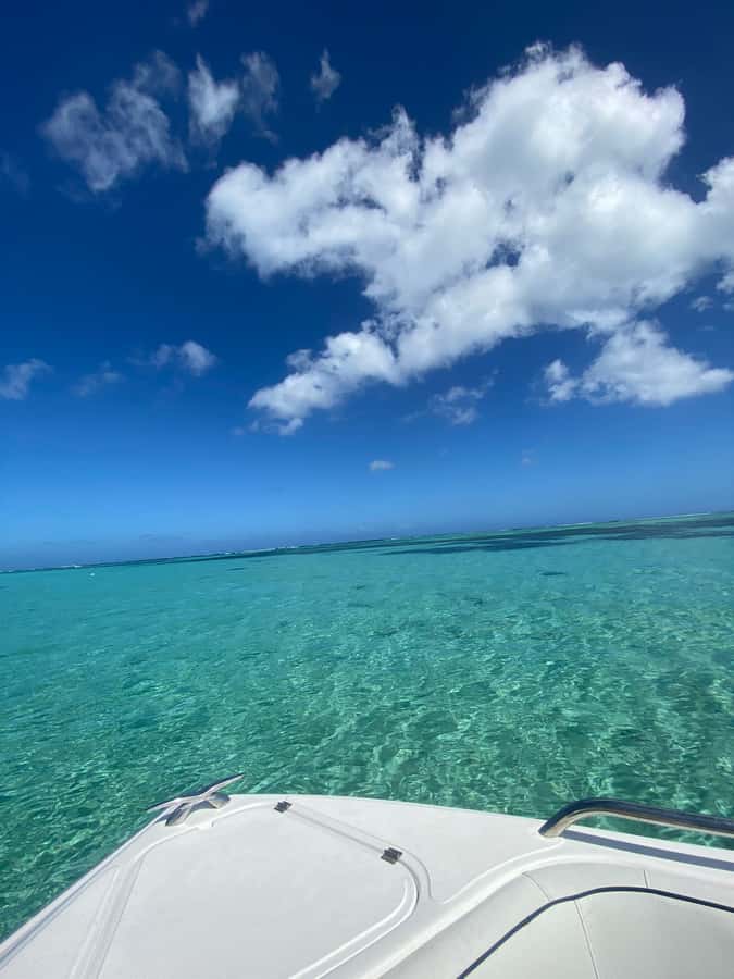 Mauritius Le Morne: Eco-Friendly Dolphin Watching Tour - Meeting spinner dolphins in open water