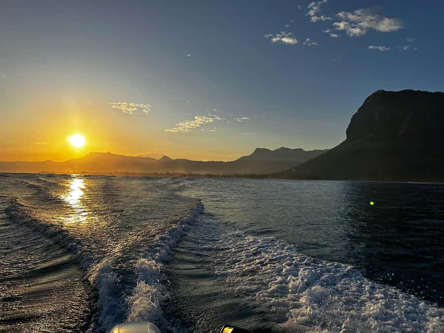 Mauritius Le Morne: Eco-Friendly Dolphin Watching Tour - The crew and the feel of the boat