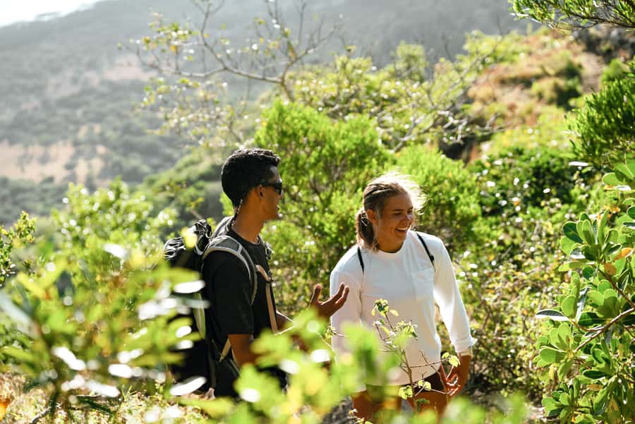 Mauritius: Le Morne Mountain Guided Sunrise Hike and Climb - What the $75 Price Buys You