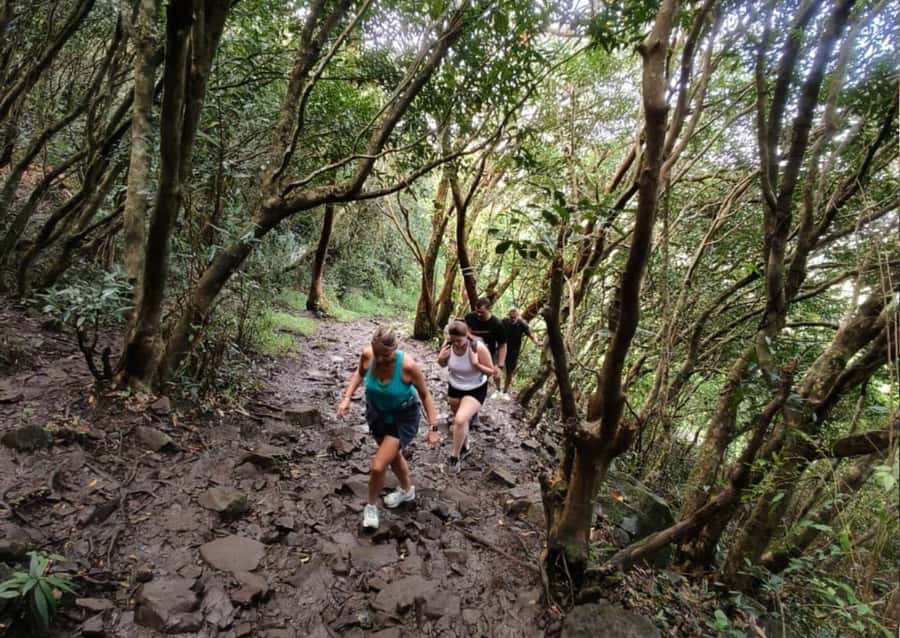 Mauritius: Le Pouce Guided Hiking Experience with a local - Why Le Pouce is worth leaving the coast for