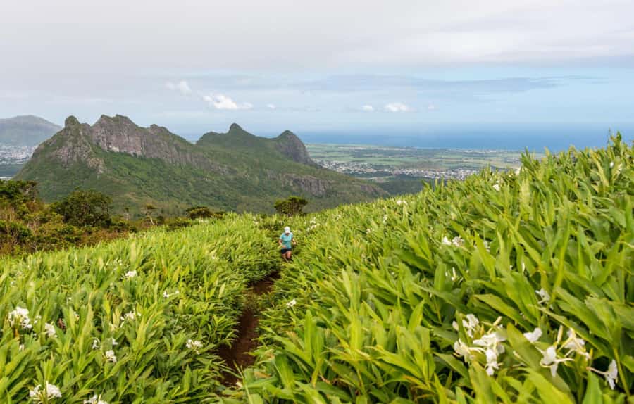 Mauritius: Le Pouce Guided Hiking Experience with a local - The Le Pouce summit, a proper payoff