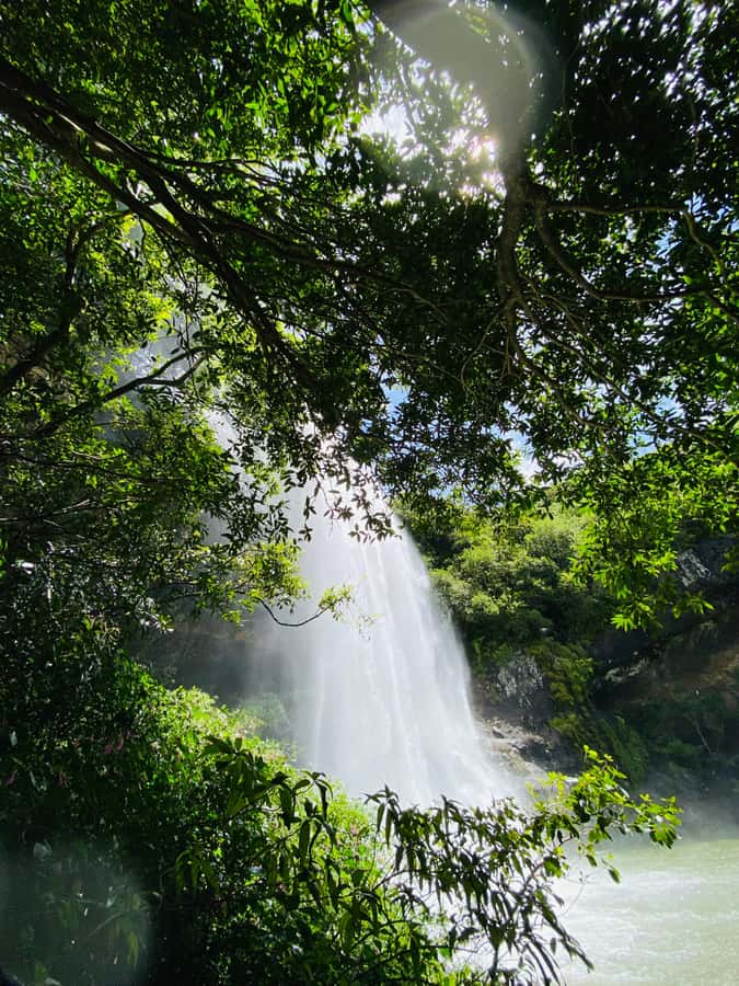 Mauritius Natirel : 7 cascades valley waterfall discovery - Should you book this waterfall hike?