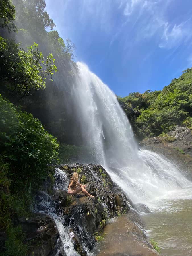 Mauritius Natirel : 7 cascades valley waterfall discovery - Plants, wildlife, and the island’s natural side