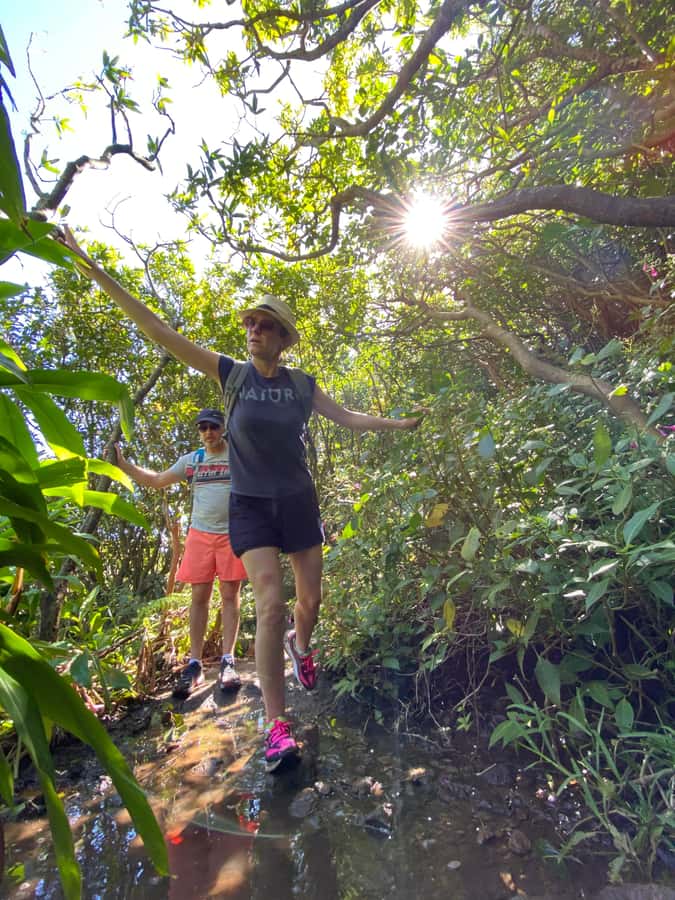 Mauritius Natirel : 7 cascades valley waterfall discovery - Breakfast, fruit, and Creole food