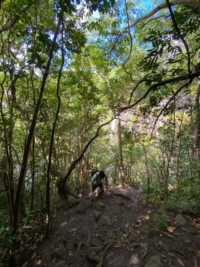 Mauritius Natirel : 7 cascades valley waterfall discovery - How hard is the hike?