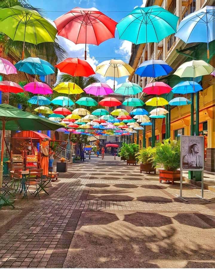 Mauritius North: Private Paradise Tour with Gardens, Markets - Key things to know before booking