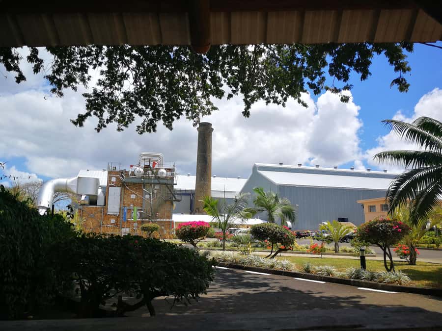Mauritius North: Private Paradise Tour with Gardens, Markets - A full northern Mauritius day without the driving work