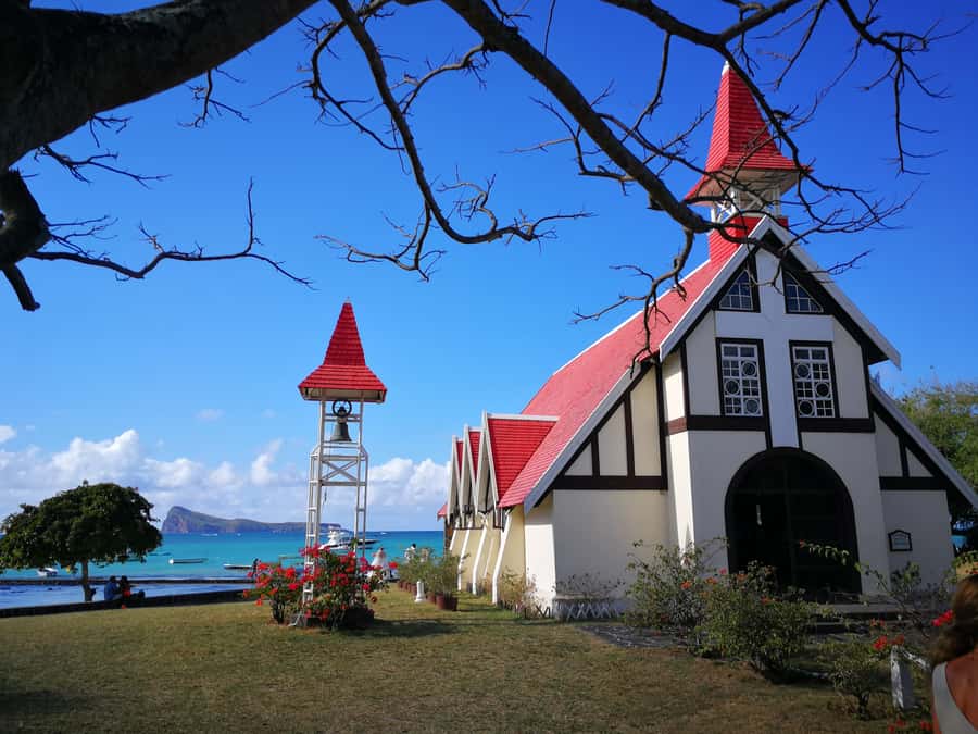 Mauritius North: Private Paradise Tour with Gardens, Markets - Pamplemousses Botanical Garden and the giant water lilies