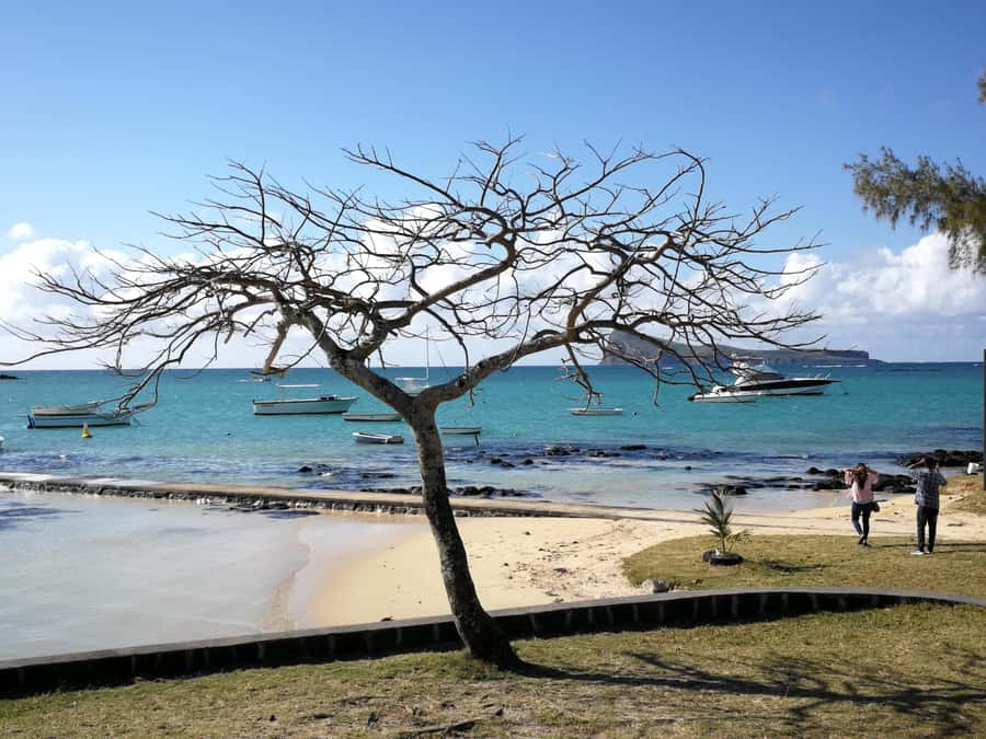 Mauritius North: Private Paradise Tour with Gardens, Markets - L’Aventure du Sucre: Mauritius through sugar