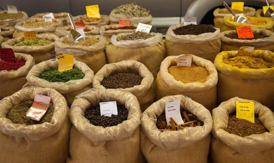 Mauritius: North Tour with Tea Tasting & Oceanarium Visit - What the private price really buys you