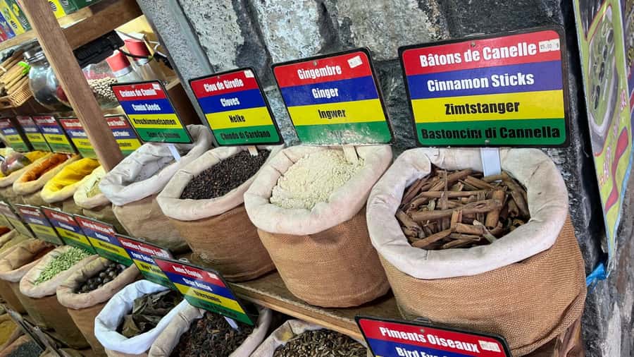 Mauritius: Northern Tour w/Port Louis Market, Temple & Beach - Port Louis market and Fort Adelaide