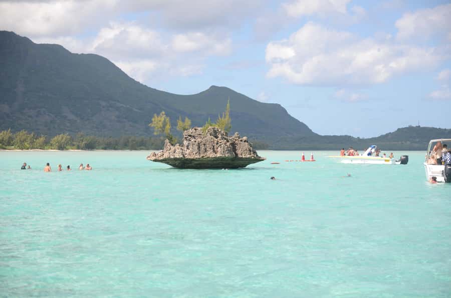 Mauritius: Ocean Swim with Dolphins - A six-hour morning on Mauritius waters