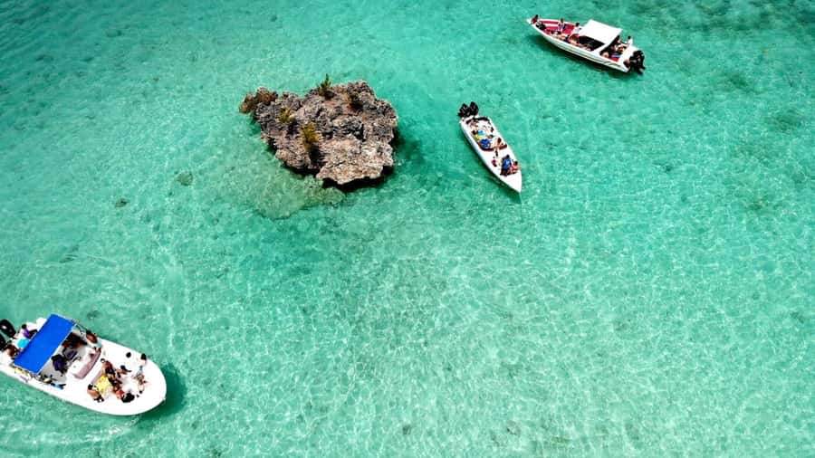 Mauritius: Ocean Swim with Dolphins - Two and a half hours on Île aux Bénitiers