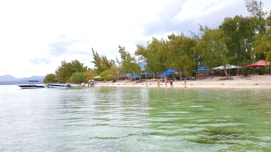 Mauritius: Ocean Swim with Dolphins - What the $93 price really covers