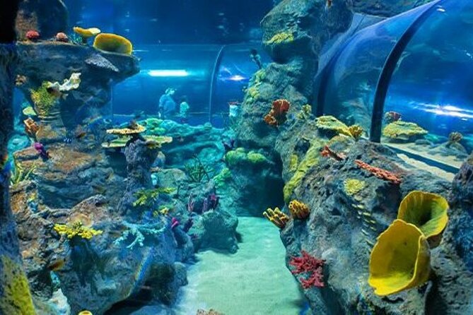 Mauritius Odysseo Oceanarium in Port Louis - How long to stay at Odysseo