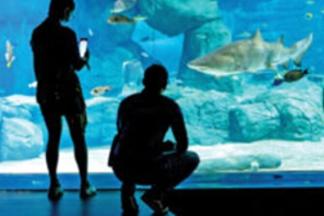 Mauritius Odysseo Oceanarium in Port Louis - Photography, comfort, and practical expectations