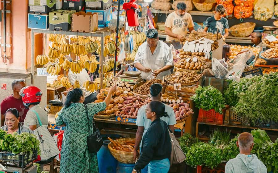 Mauritius: Port Louis and Northern Highlights Full-Day Trip - Key points to know before you book