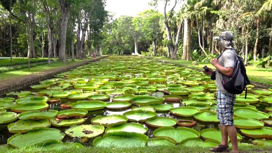 Mauritius: Port Louis and Northern Highlights Full-Day Trip - Why this day trip works well