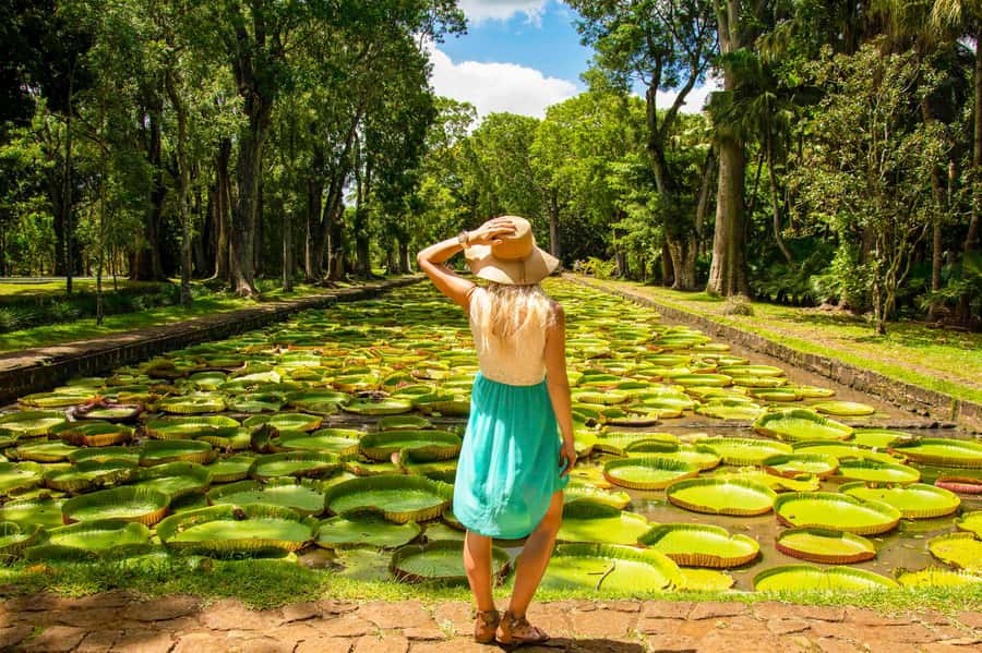 Mauritius: Private Full-Day Iconic Instagram Spots - Why this route works for a first day in Mauritius