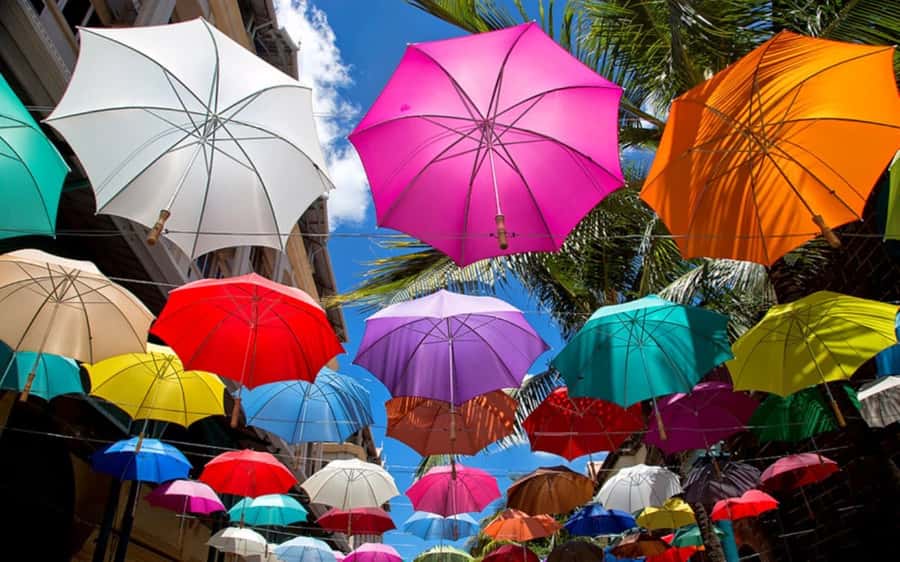 Mauritius: Private Full-Day Iconic Instagram Spots - What the guide adds to the day
