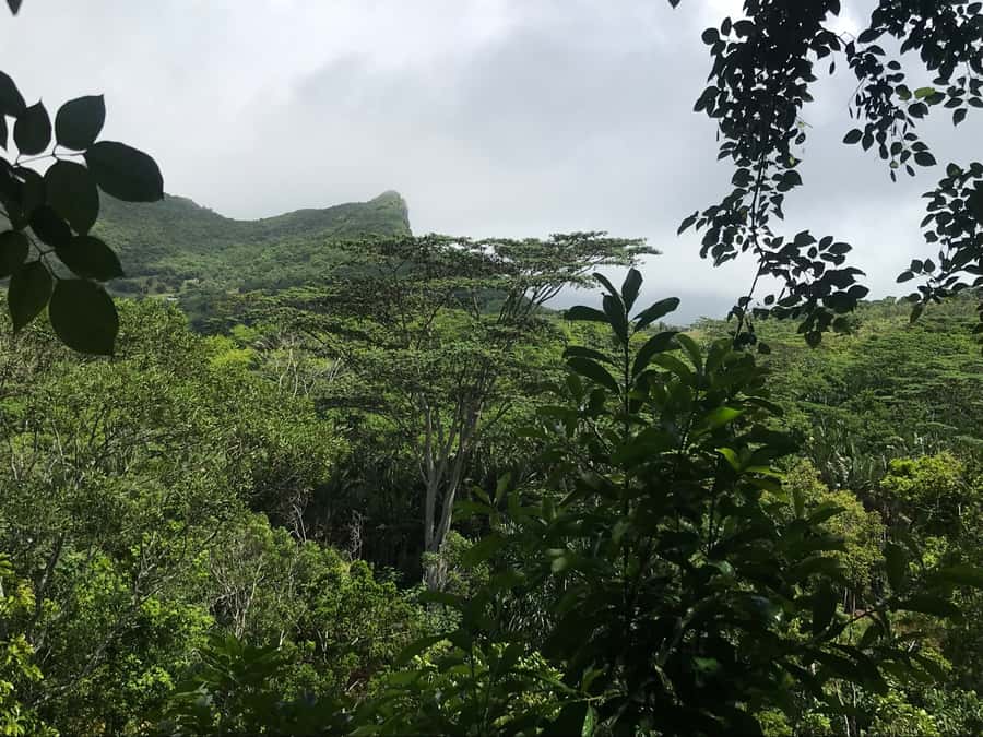 Mauritius: Private Full-Day Iconic Instagram Spots - Practical preparation for an eight-hour day