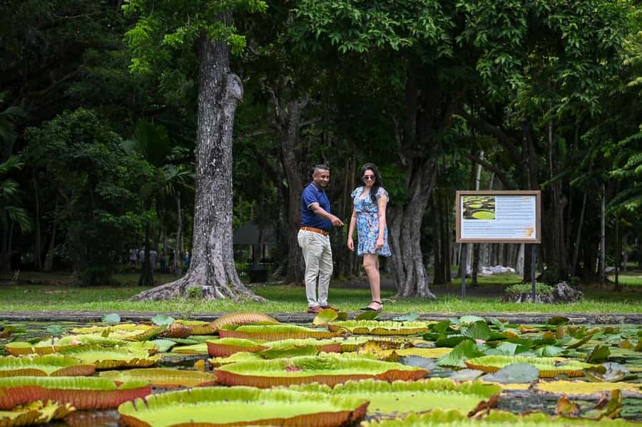 Mauritius: Private Full-Day North Mauritius Tour - Port Louis: markets, harbor views, and a busy first stop