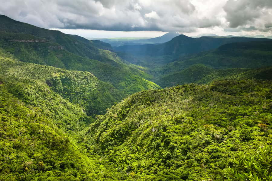 Mauritius: Private Full Day Tour with Entry Tickets & Lunch - A private look at Mauritius beyond the coast