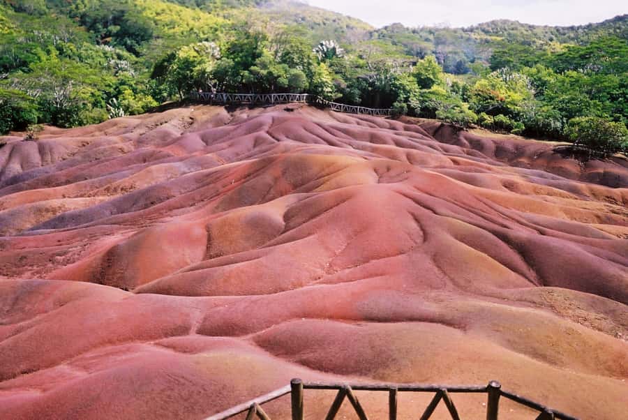 Mauritius: Private Full Day Tour with Entry Tickets & Lunch - Mare aux Vacoas and the cooler Plaine Champagne Forest