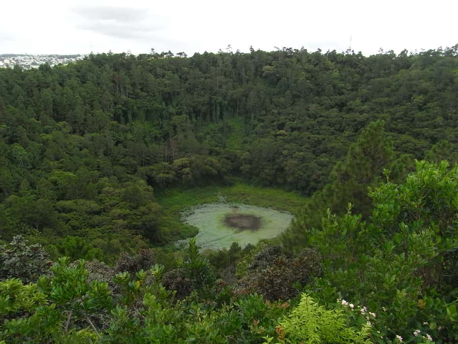 Mauritius: Private Full Day Tour with Entry Tickets & Lunch - Chamarel Waterfall and the Seven Coloured Earth