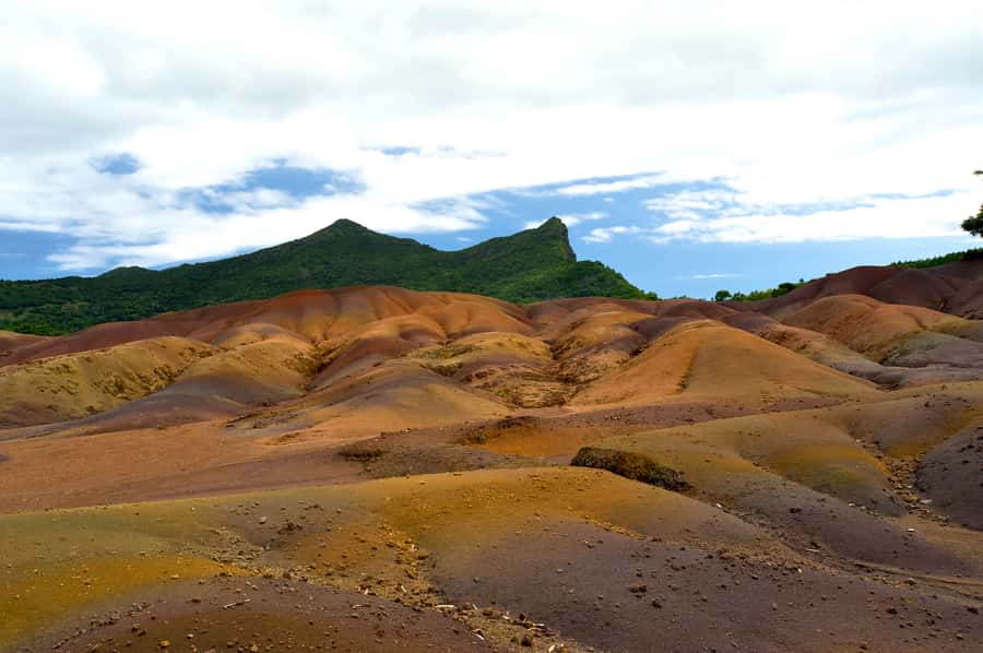 Mauritius: Private Full Day Tour with Entry Tickets & Lunch - Lunch and the optional Rhumerie stop